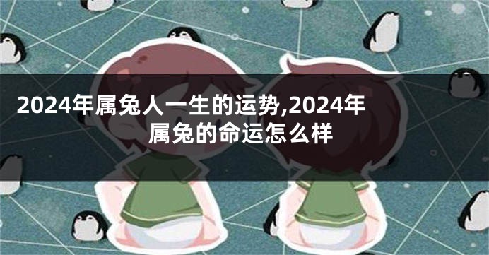 2024年属兔人一生的运势,2024年属兔的命运怎么样