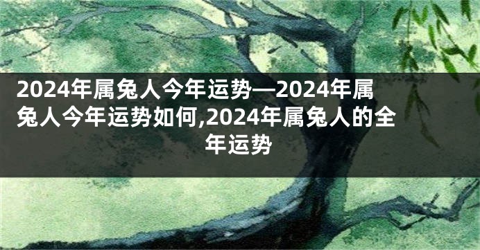 2024年属兔人今年运势—2024年属兔人今年运势如何,2024年属兔人的全年运势