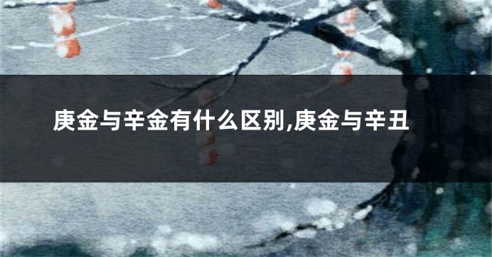 庚金与辛金有什么区别,庚金与辛丑