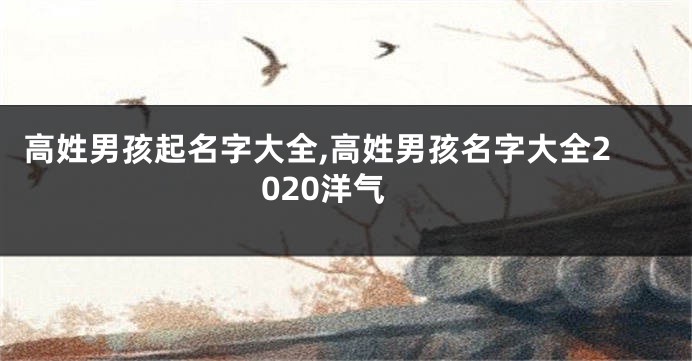 高姓男孩起名字大全,高姓男孩名字大全2020洋气