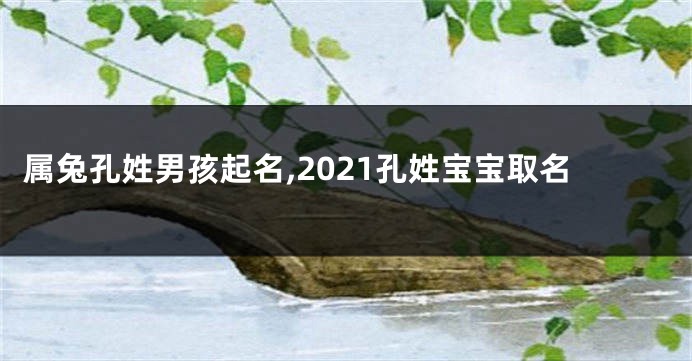 属兔孔姓男孩起名,2021孔姓宝宝取名