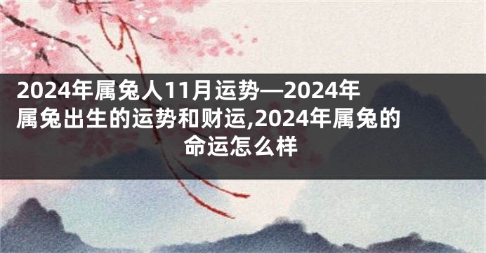 2024年属兔人11月运势—2024年属兔出生的运势和财运,2024年属兔的命运怎么样