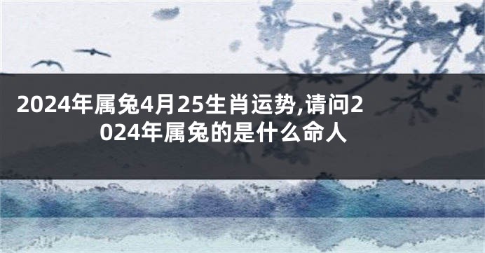 2024年属兔4月25生肖运势,请问2024年属兔的是什么命人