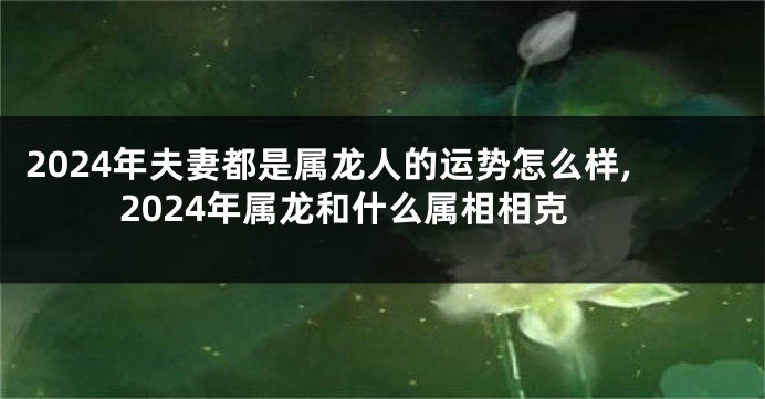 2024年夫妻都是属龙人的运势怎么样,2024年属龙和什么属相相克