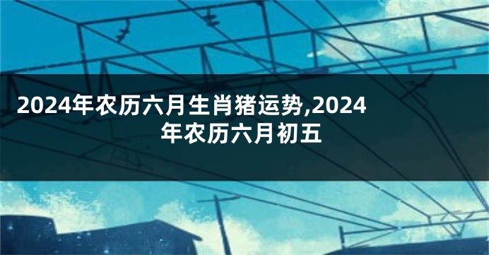 2024年农历六月生肖猪运势,2024年农历六月初五