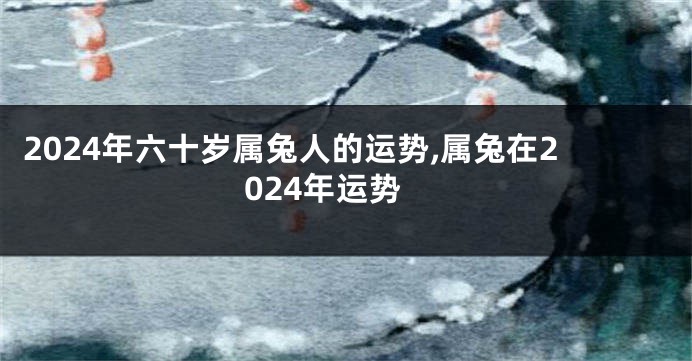 2024年六十岁属兔人的运势,属兔在2024年运势