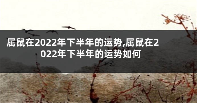 属鼠在2022年下半年的运势,属鼠在2022年下半年的运势如何