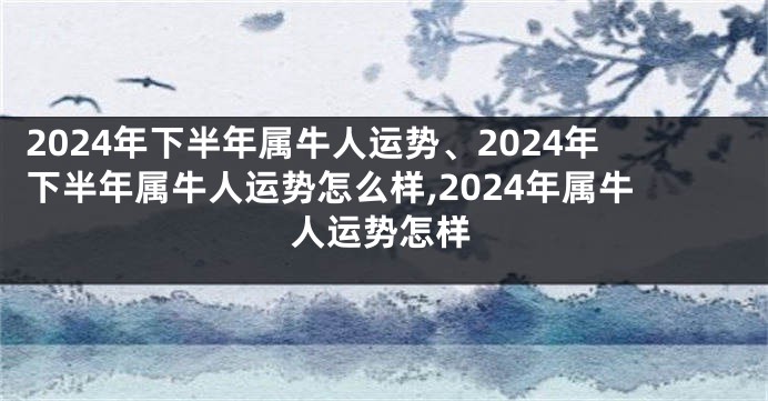 2024年下半年属牛人运势、2024年下半年属牛人运势怎么样,2024年属牛人运势怎样