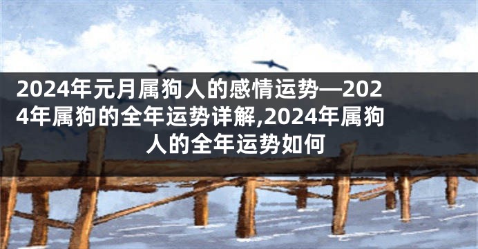 2024年元月属狗人的感情运势—2024年属狗的全年运势详解,2024年属狗人的全年运势如何