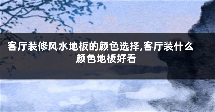 客厅装修风水地板的颜色选择,客厅装什么颜色地板好看