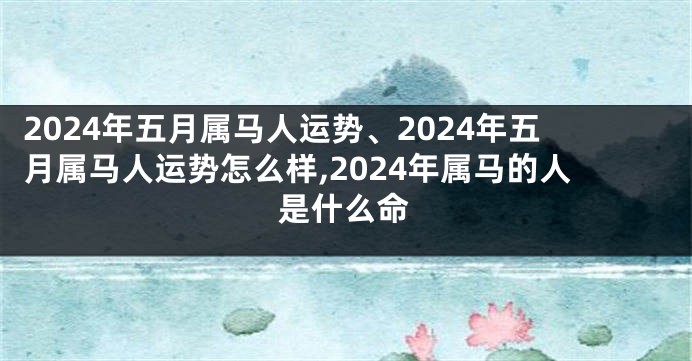 2024年五月属马人运势、2024年五月属马人运势怎么样,2024年属马的人是什么命