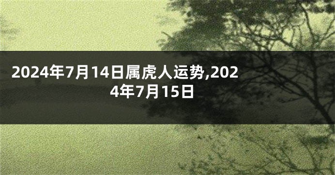 2024年7月14日属虎人运势,2024年7月15日