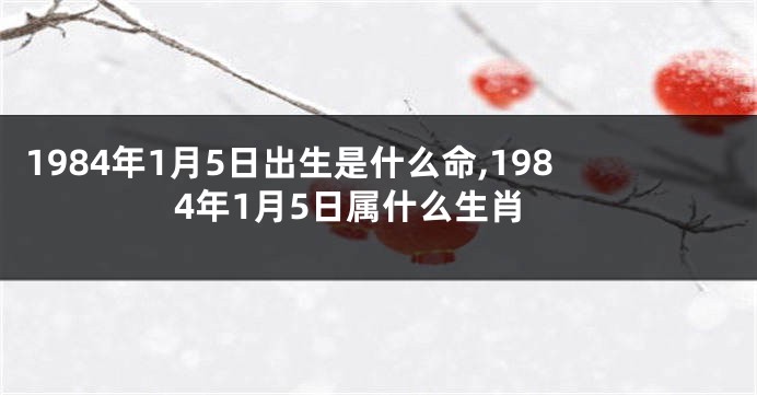 1984年1月5日出生是什么命,1984年1月5日属什么生肖