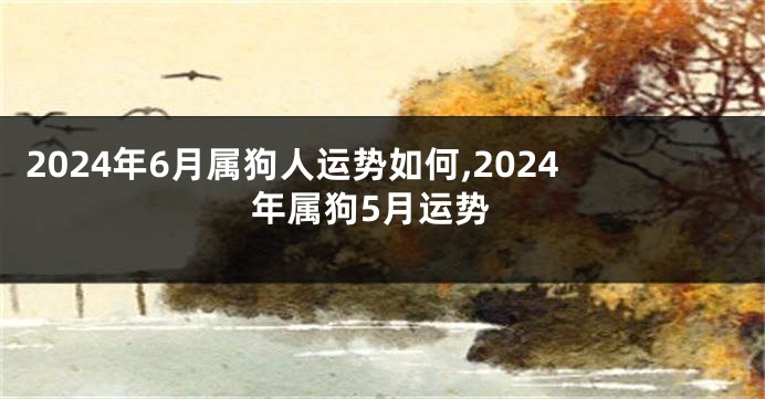 2024年6月属狗人运势如何,2024年属狗5月运势