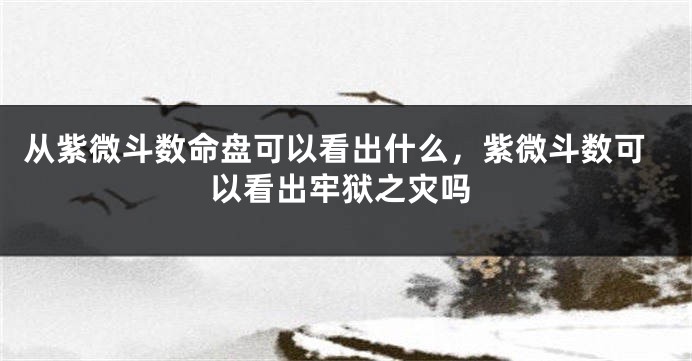 从紫微斗数命盘可以看出什么，紫微斗数可以看出牢狱之灾吗