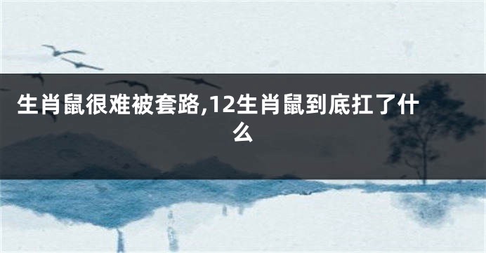 生肖鼠很难被套路,12生肖鼠到底扛了什么