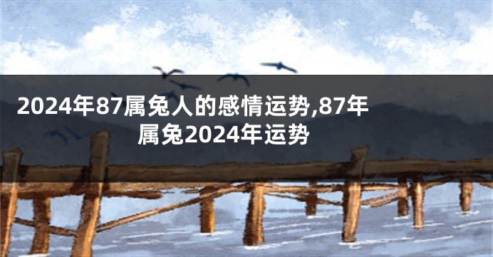 2024年87属兔人的感情运势,87年属兔2024年运势