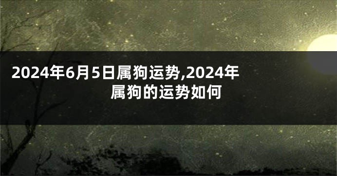 2024年6月5日属狗运势,2024年属狗的运势如何