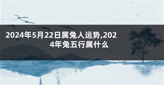 2024年5月22日属兔人运势,2024年兔五行属什么