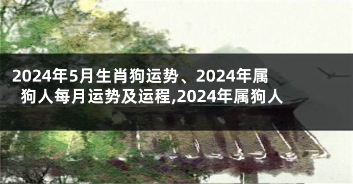 2024年5月生肖狗运势、2024年属狗人每月运势及运程,2024年属狗人