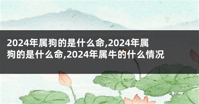 2024年属狗的是什么命,2024年属狗的是什么命,2024年属牛的什么情况