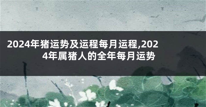 2024年猪运势及运程每月运程,2024年属猪人的全年每月运势