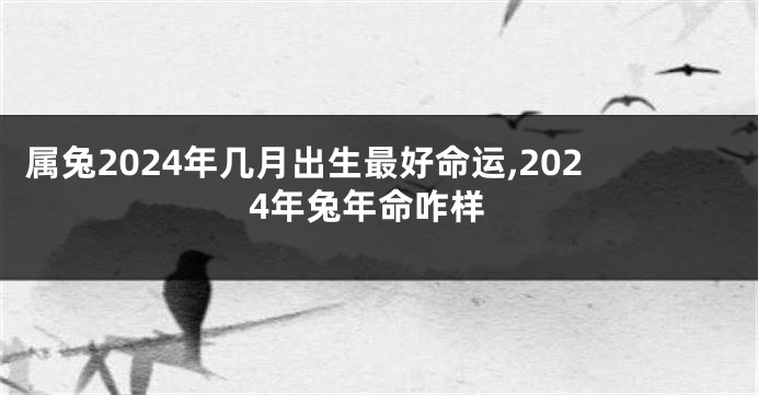 属兔2024年几月出生最好命运,2024年兔年命咋样