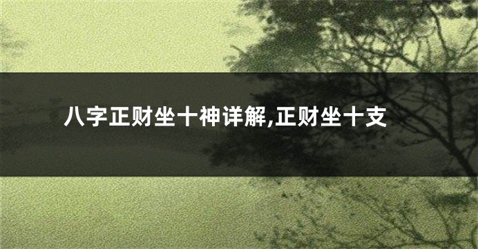 八字正财坐十神详解,正财坐十支