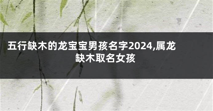 五行缺木的龙宝宝男孩名字2024,属龙缺木取名女孩