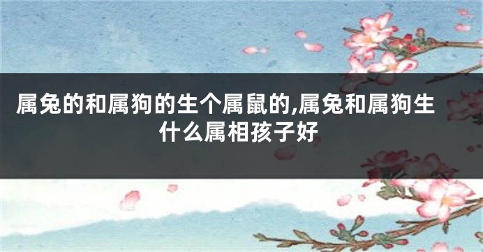 属兔的和属狗的生个属鼠的,属兔和属狗生什么属相孩子好