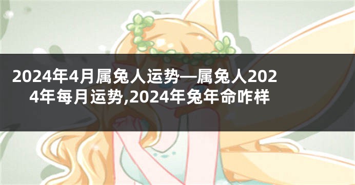 2024年4月属兔人运势—属兔人2024年每月运势,2024年兔年命咋样