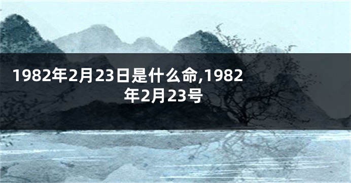 1982年2月23日是什么命,1982年2月23号