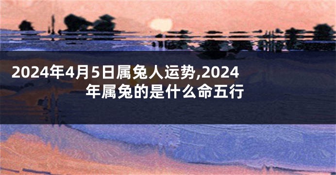 2024年4月5日属兔人运势,2024年属兔的是什么命五行