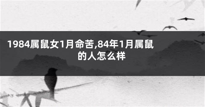 1984属鼠女1月命苦,84年1月属鼠的人怎么样