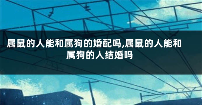 属鼠的人能和属狗的婚配吗,属鼠的人能和属狗的人结婚吗