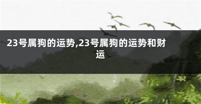 23号属狗的运势,23号属狗的运势和财运