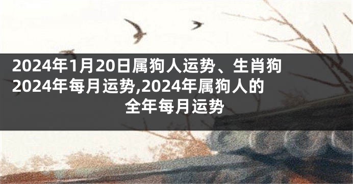 2024年1月20日属狗人运势、生肖狗2024年每月运势,2024年属狗人的全年每月运势