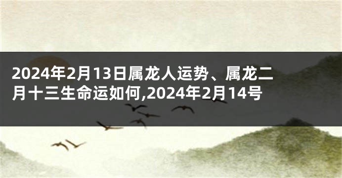 2024年2月13日属龙人运势、属龙二月十三生命运如何,2024年2月14号