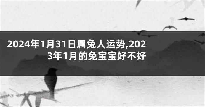 2024年1月31日属兔人运势,2023年1月的兔宝宝好不好