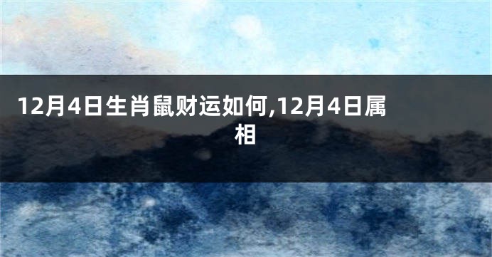 12月4日生肖鼠财运如何,12月4日属相