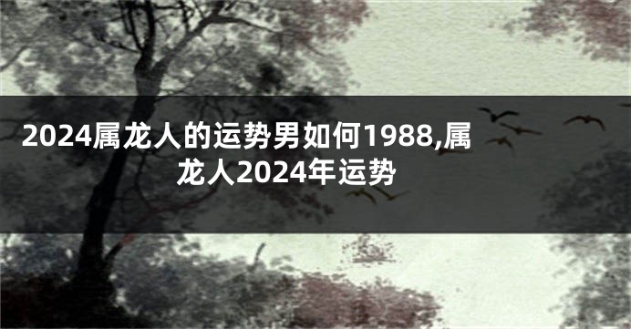 2024属龙人的运势男如何1988,属龙人2024年运势