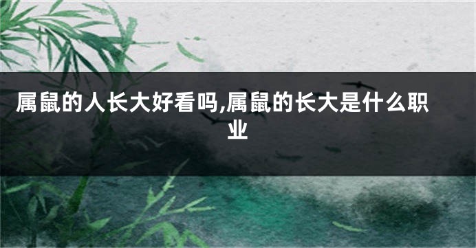 属鼠的人长大好看吗,属鼠的长大是什么职业