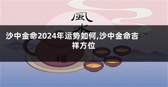 沙中金命2024年运势如何,沙中金命吉祥方位