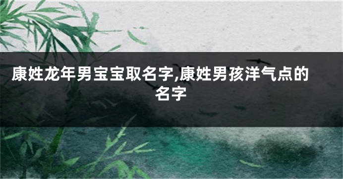 康姓龙年男宝宝取名字,康姓男孩洋气点的名字