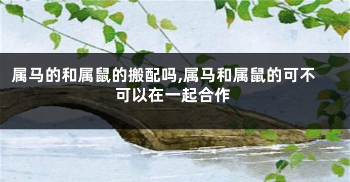 属马的和属鼠的搬配吗,属马和属鼠的可不可以在一起合作