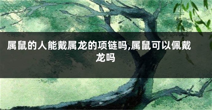 属鼠的人能戴属龙的项链吗,属鼠可以佩戴龙吗