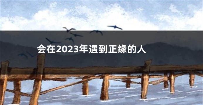 会在2023年遇到正缘的人