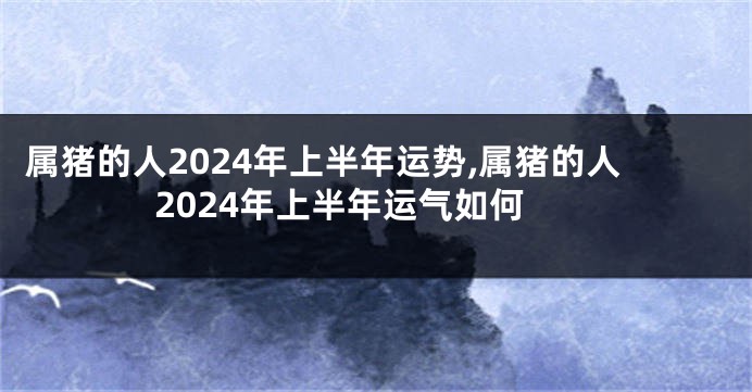 属猪的人2024年上半年运势,属猪的人2024年上半年运气如何