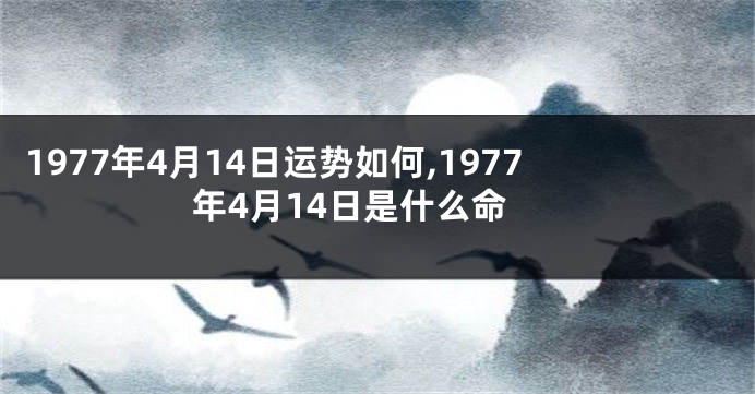 1977年4月14日运势如何,1977年4月14日是什么命