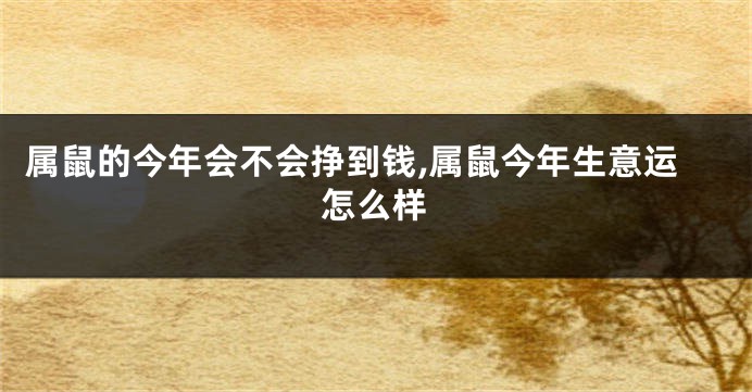 属鼠的今年会不会挣到钱,属鼠今年生意运怎么样